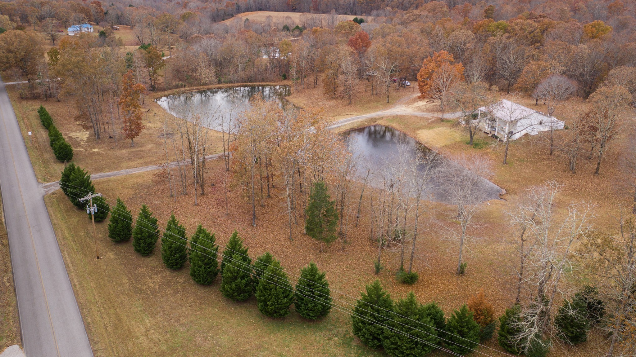 112 Napier Road Hohenwald, TN 38462 - Photo 47 of 49 Gallery Image 47