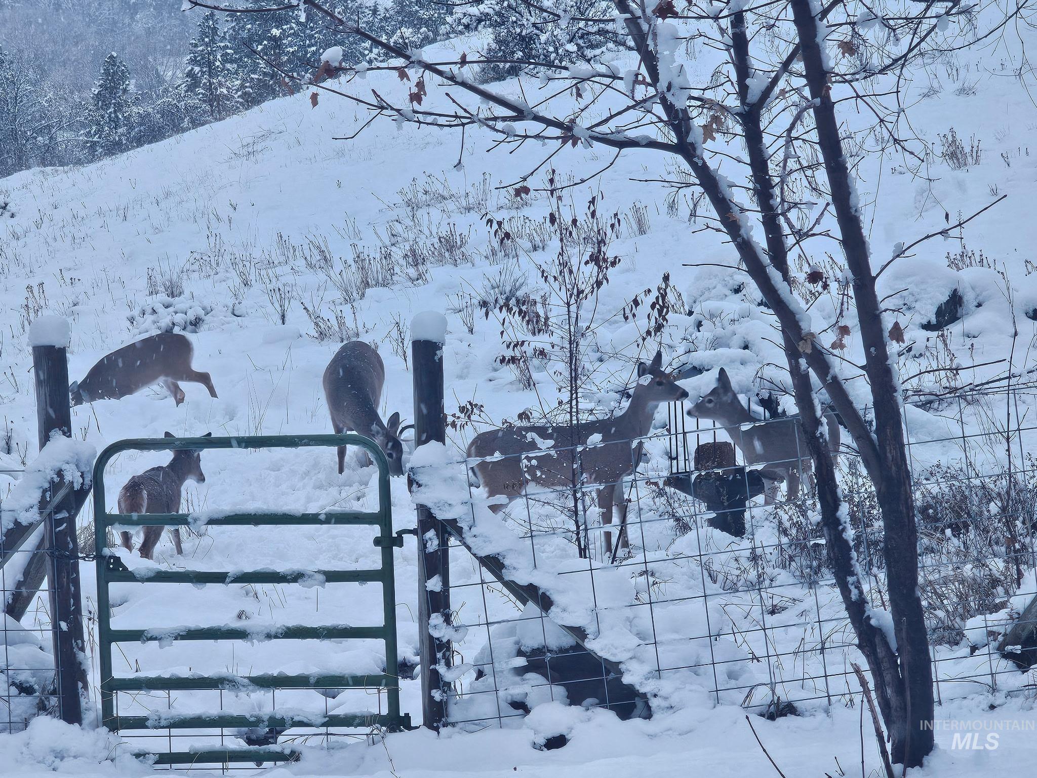 2599 Fruitvale Glendale Road Council, ID 83612 - Photo 29 of 29 Exterior view
