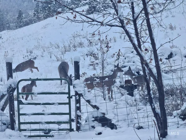 $850,000 | 2599 Fruitvale Glendale Road, Council, ID 83612