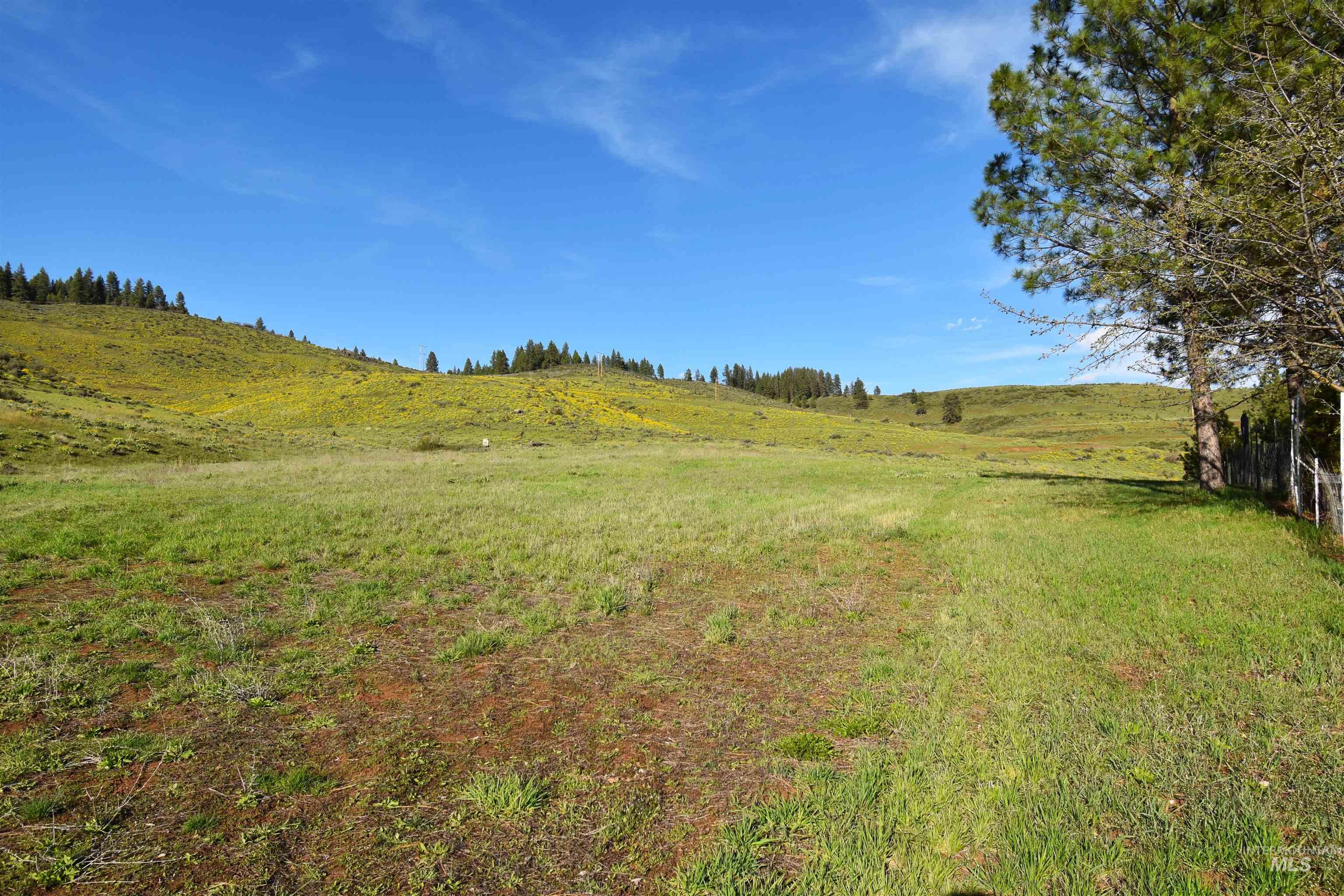 2599 Fruitvale Glendale Road Council, ID 83612 - Photo 9 of 29 View of green lawn featuring a rural view