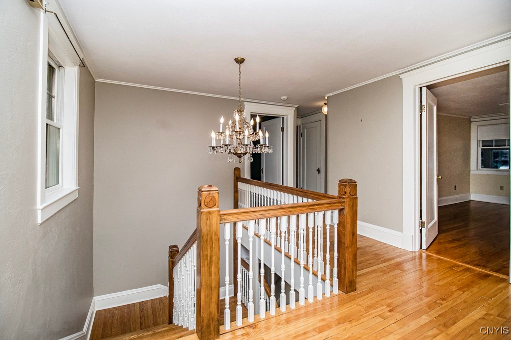 104 Burlingame Road Syracuse, NY 13203 - Photo 43 of 50