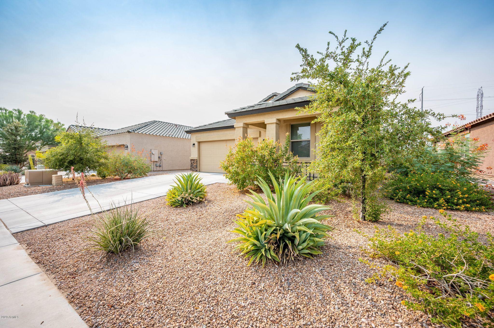 23873 West Ripple Road Buckeye, AZ 85326 - Photo 3 of 32 Ripple 3
