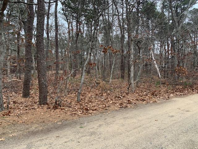 20 Fox Run Road Eastham, MA 02642 - Photo 3 of 6 IMG_6918