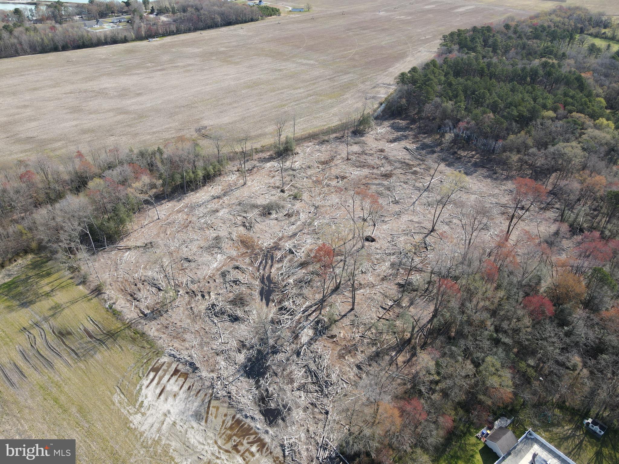 0 East Piney Grove Road Georgetown, DE 19947 - Photo 6 of 7 Aerial photo