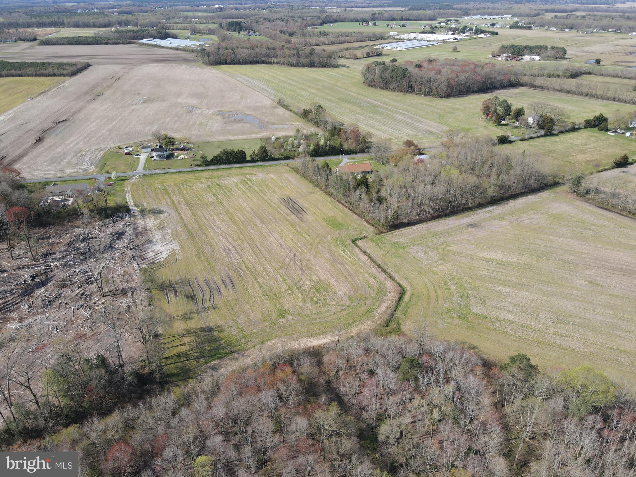 0 East Piney Grove Road Georgetown, DE 19947 - Photo 7 of 7 Aerial photo
