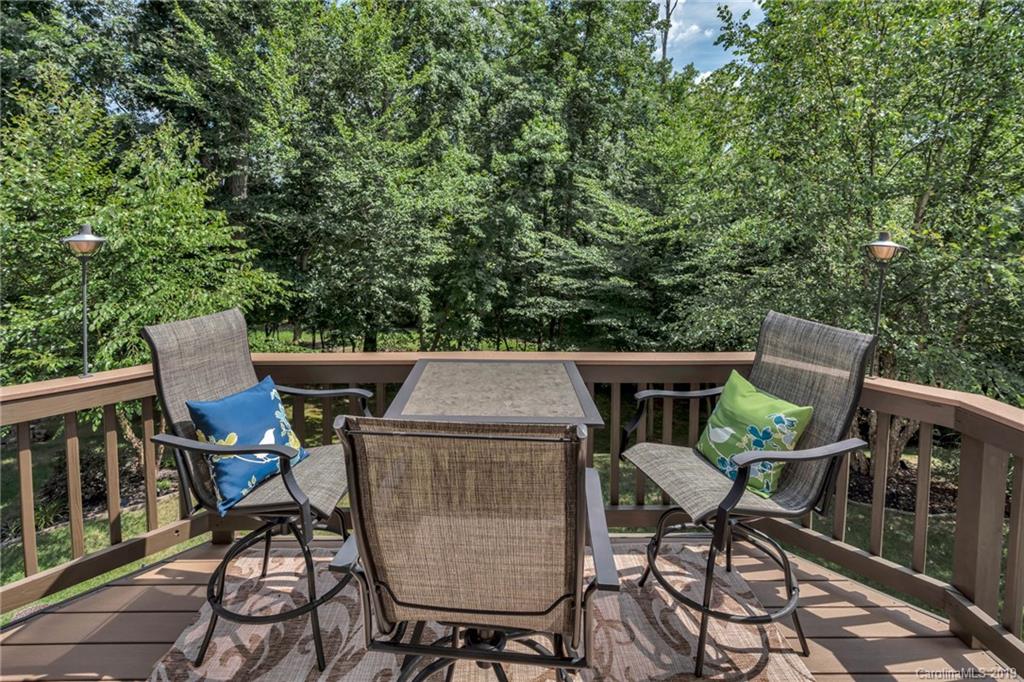 1025 Ridgehaven Road Waxhaw, NC 28173 - Photo 44 of 48
