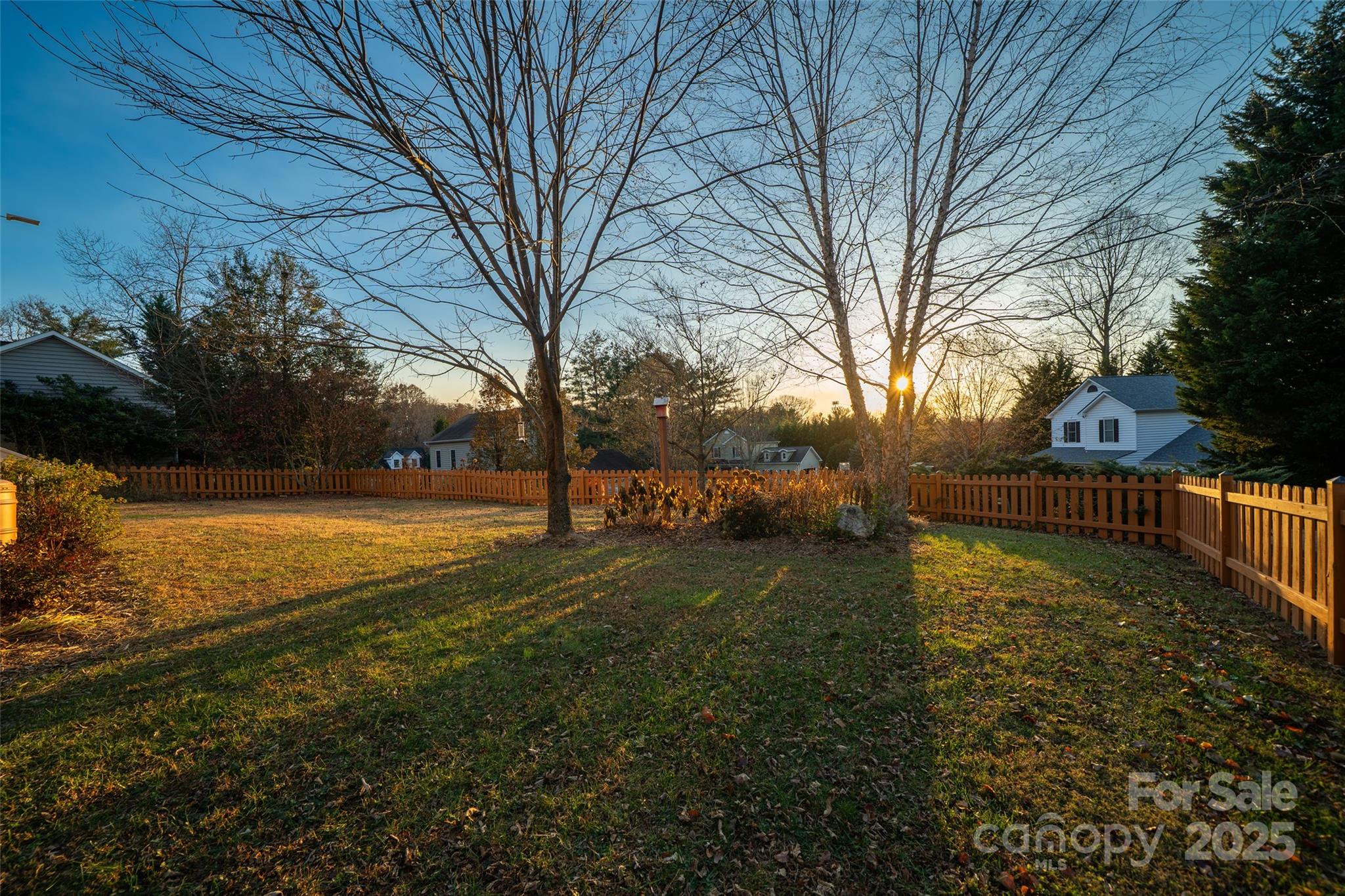 11 Forest Park Lane Asheville, NC 28803 - Photo 20 of 26 a view of yard with tree s