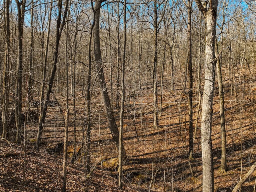 Lot 9 Mount Mincie Road Murrayville, GA 30564 - Photo 11 of 17 a bathroom with a shower