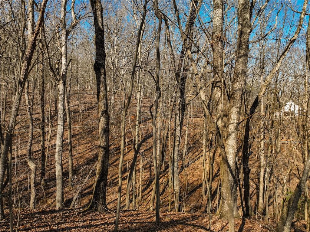 Lot 9 Mount Mincie Road Murrayville, GA 30564 - Photo 12 of 17 a backyard of a house