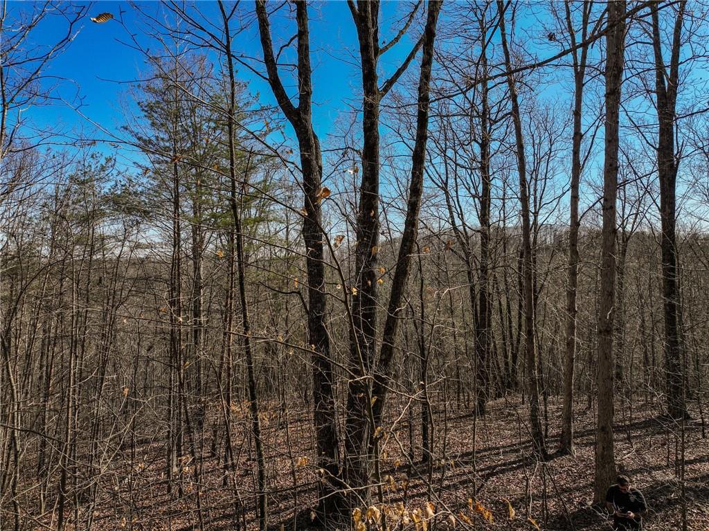 Lot 9 Mount Mincie Road Murrayville, GA 30564 - Photo 13 of 17 a view of a yard