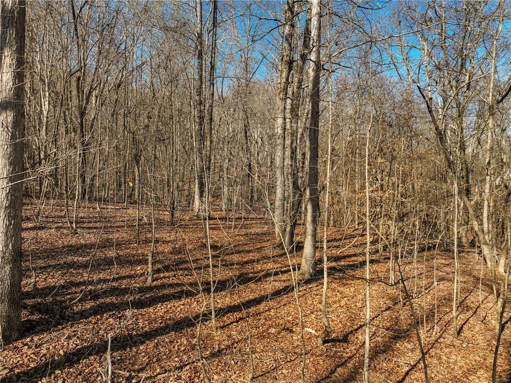 Lot 9 Mount Mincie Road Murrayville, GA 30564 - Photo 14 of 17 a view of outdoor space with wooden walls