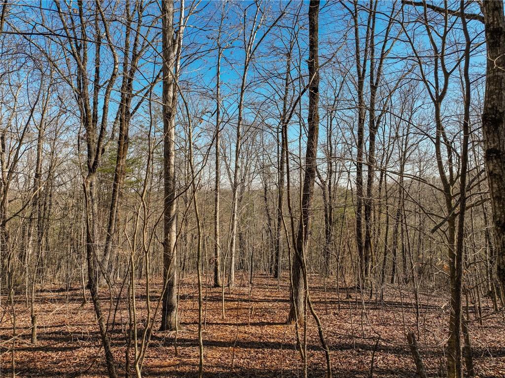Lot 9 Mount Mincie Road Murrayville, GA 30564 - Photo 15 of 17 a view of a backyard