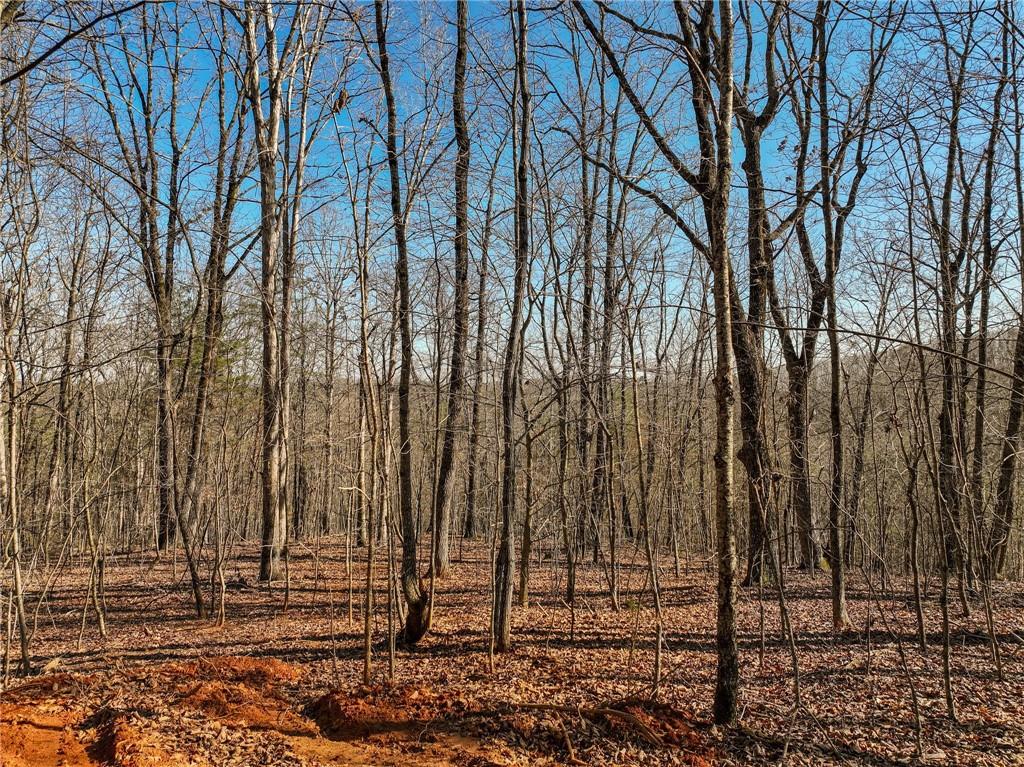 Lot 9 Mount Mincie Road Murrayville, GA 30564 - Photo 16 of 17 a view of a backyard