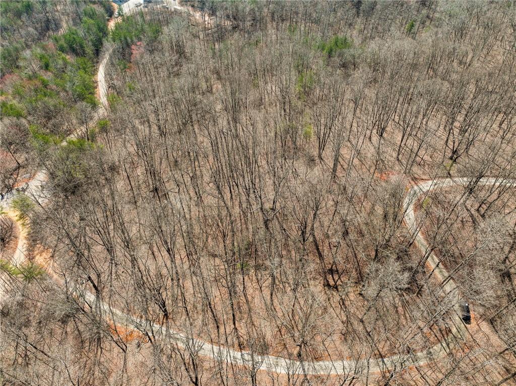 Lot 9 Mount Mincie Road Murrayville, GA 30564 - Photo 4 of 17 a view of a yard