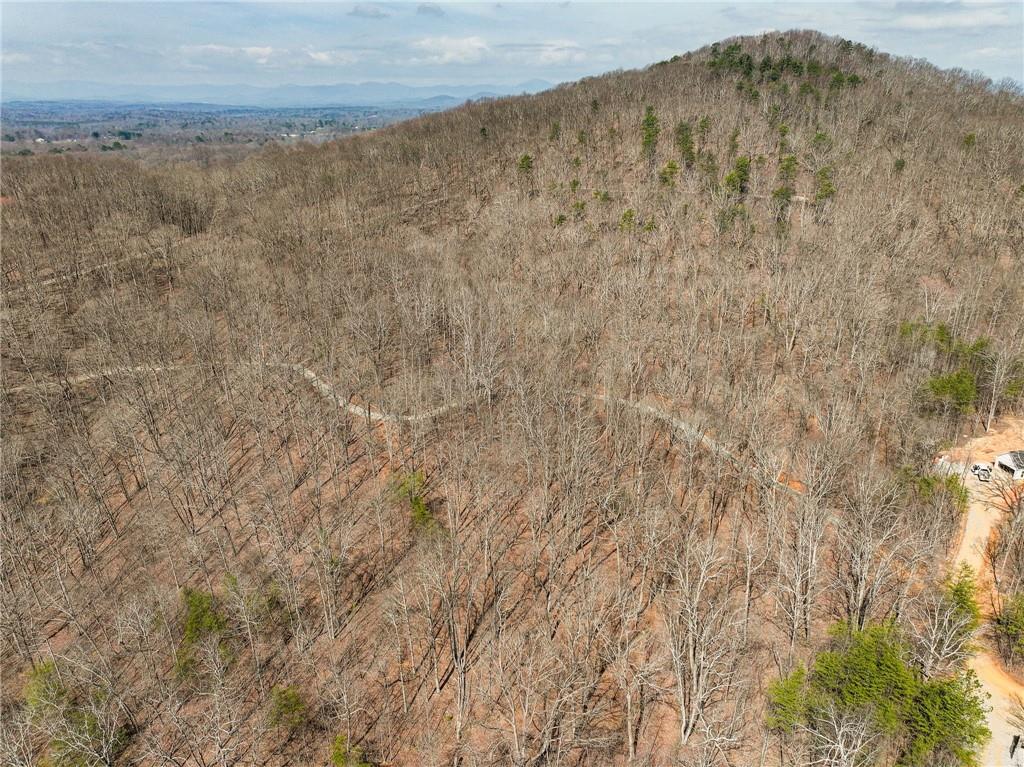 Lot 9 Mount Mincie Road Murrayville, GA 30564 - Photo 5 of 17 a view of a dry yard with a dry yard