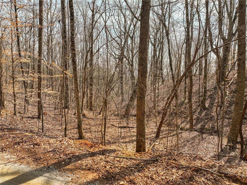 Lot 9 Mount Mincie Road Murrayville, GA 30564 - Photo 6 of 17 a view of a yard with lots of trees