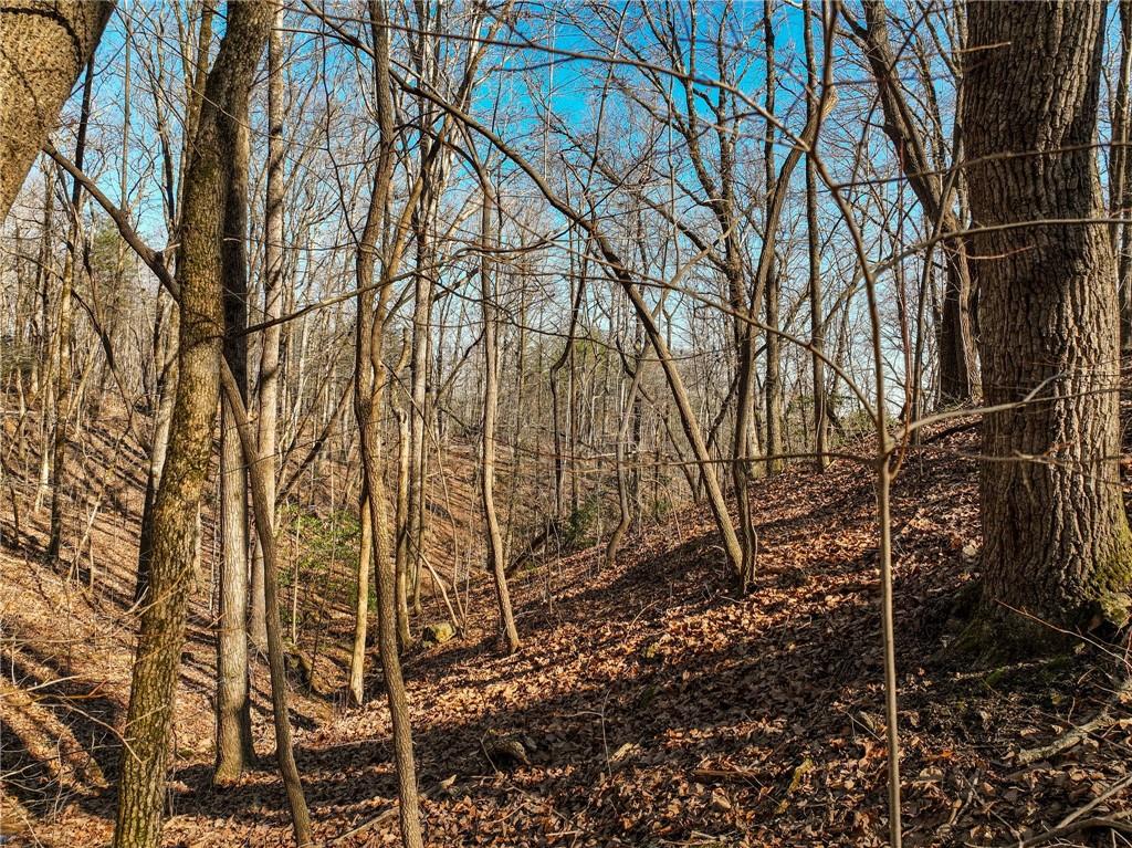 Lot 9 Mount Mincie Road Murrayville, GA 30564 - Photo 7 of 17 a backyard of a house with lots of plants and large trees