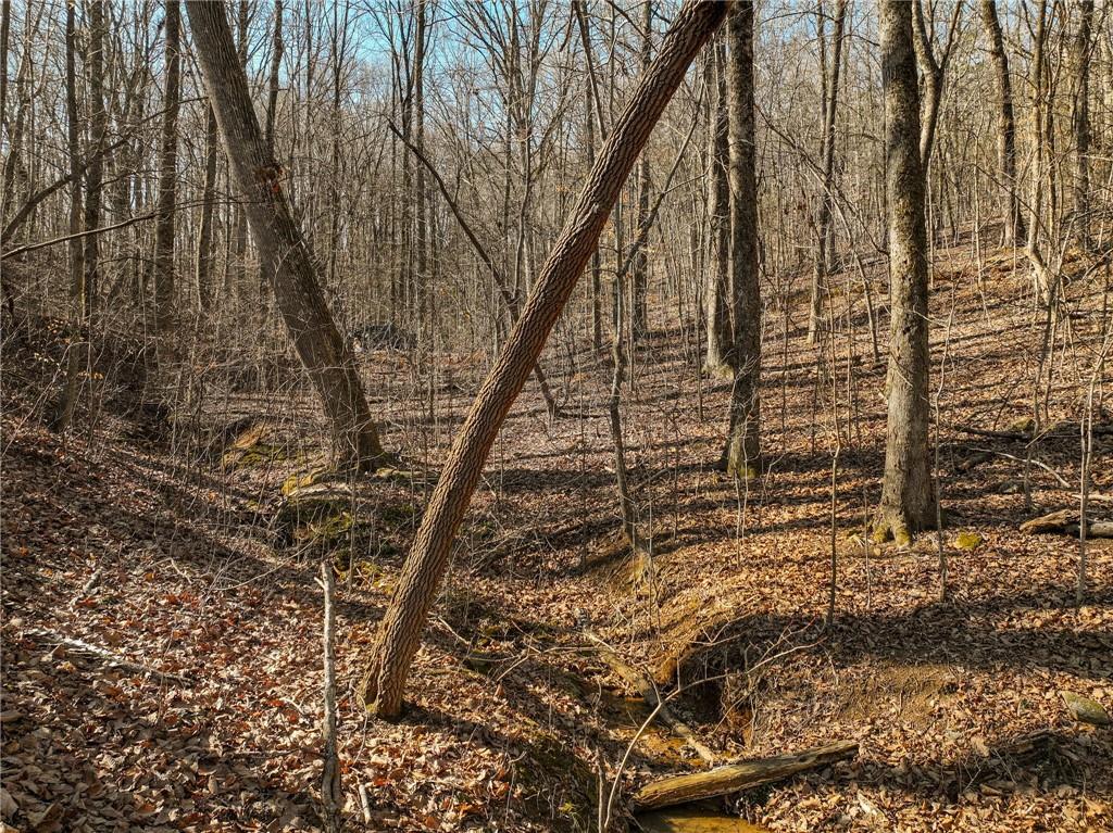 Lot 9 Mount Mincie Road Murrayville, GA 30564 - Photo 8 of 17