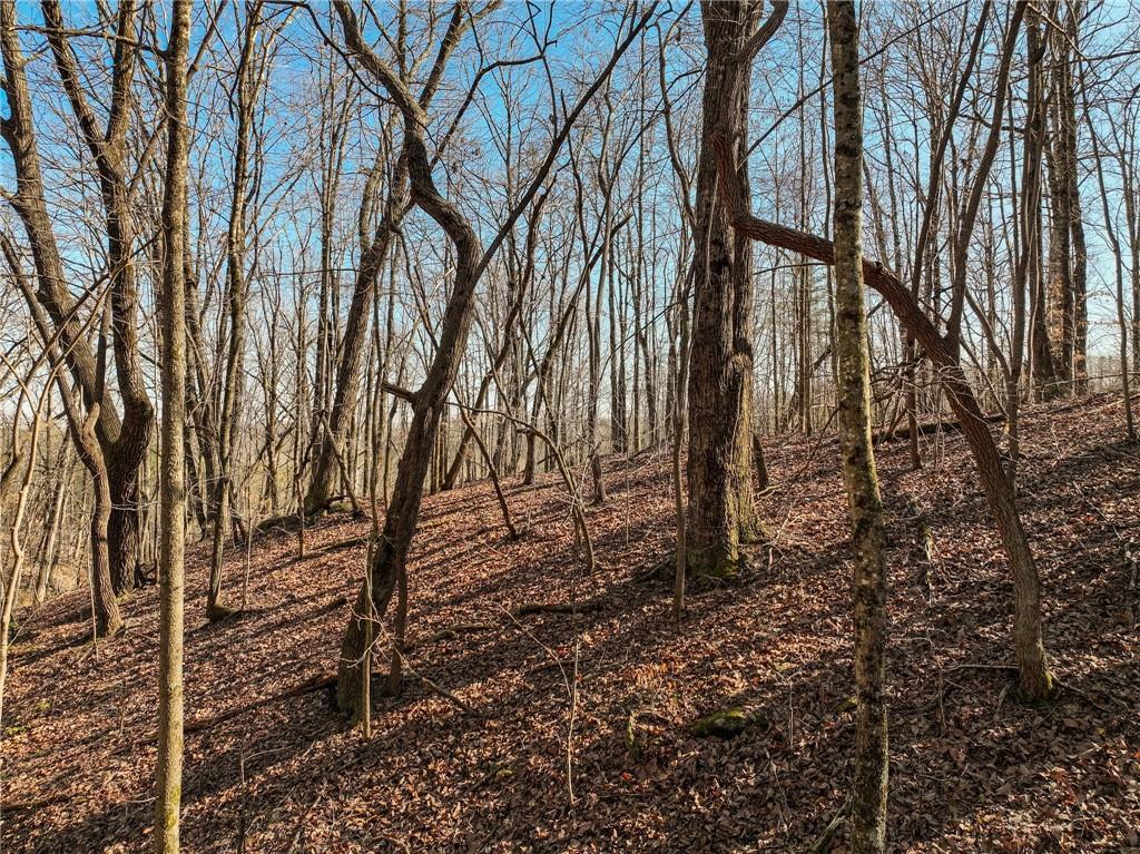Lot 9 Mount Mincie Road Murrayville, GA 30564 - Photo 9 of 17 a backyard of a house with lots of green space