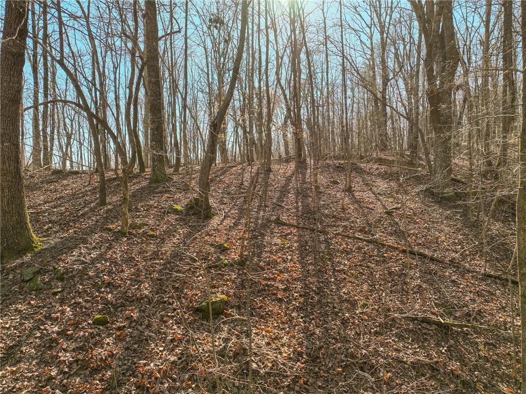 Lot 9 Mount Mincie Road Murrayville, GA 30564 - Photo 10 of 17 a view of wooden fence