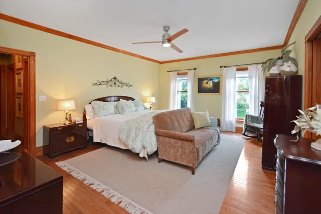 a view of a garden with plants