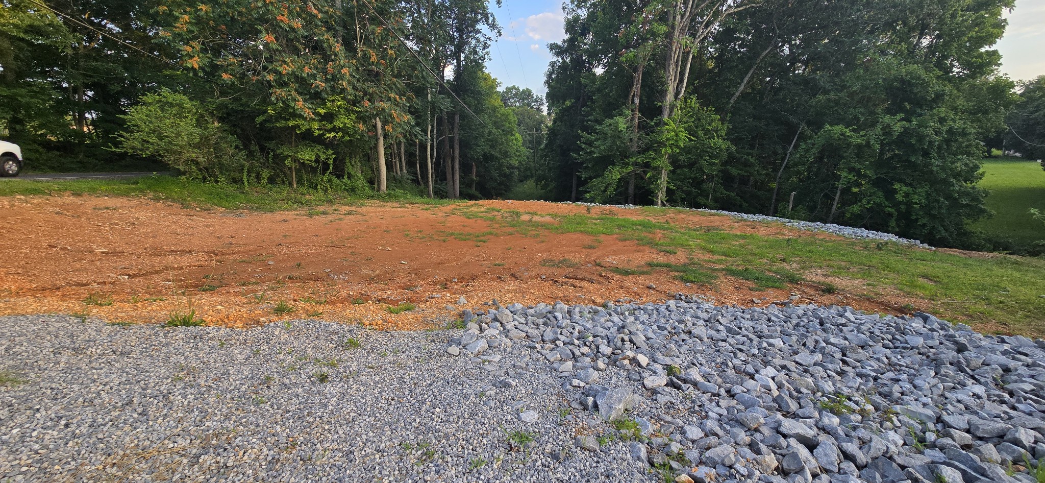 5548 Abednego Road Greenbrier, TN 37073 - Photo 11 of 15 a backyard of a house with lots of green space