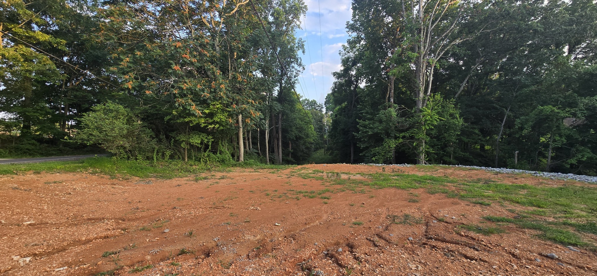 5548 Abednego Road Greenbrier, TN 37073 - Photo 13 of 15 a backyard of a house with lots of green space