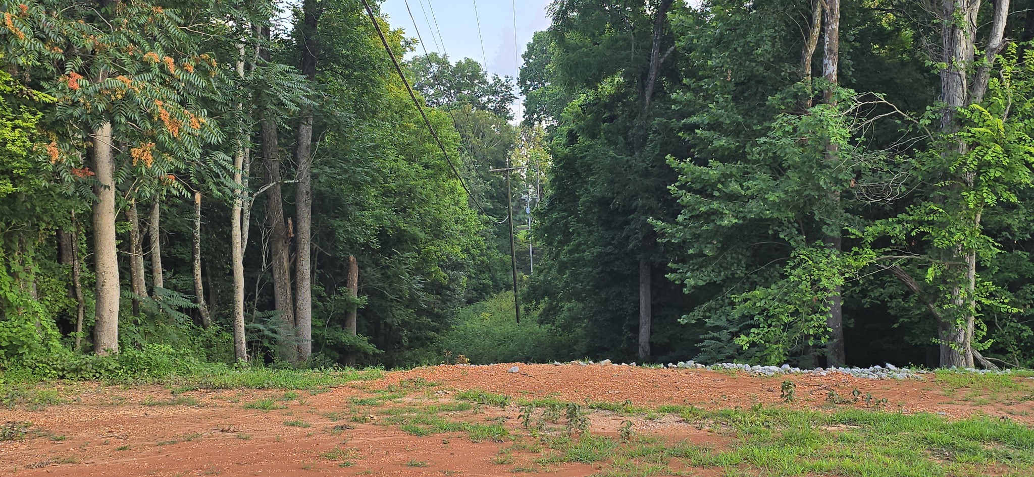 5548 Abednego Road Greenbrier, TN 37073 - Photo 14 of 15 a view of yard