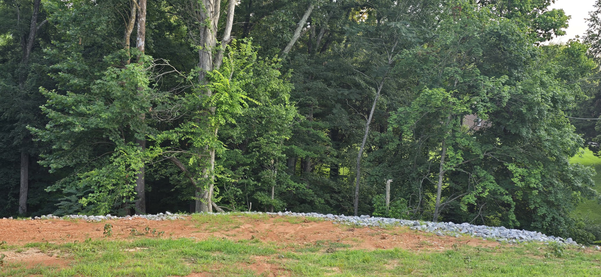 5548 Abednego Road Greenbrier, TN 37073 - Photo 15 of 15 a view of outdoor space yard and trees