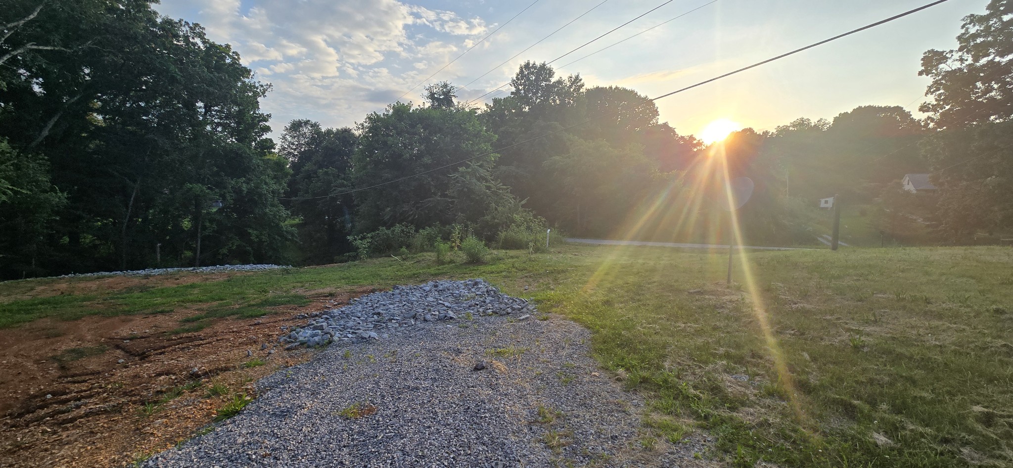 5548 Abednego Road Greenbrier, TN 37073 - Photo 5 of 15 a view of a field