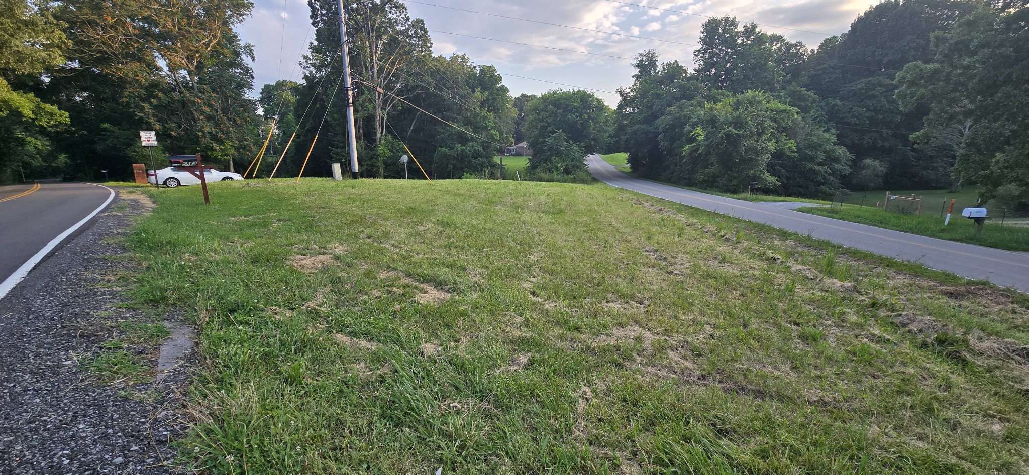 5548 Abednego Road Greenbrier, TN 37073 - Photo 8 of 15 a view of a grassy area with trees