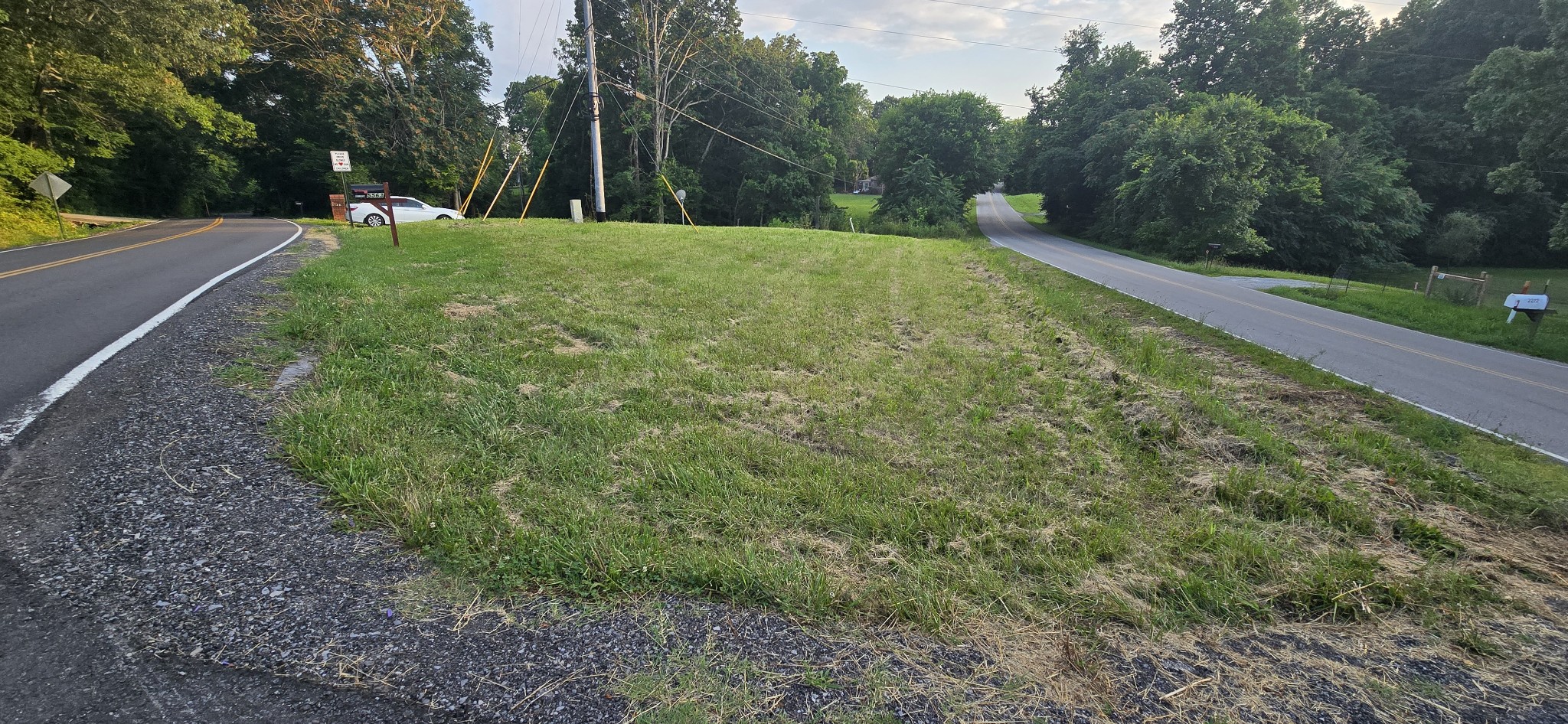 5548 Abednego Road Greenbrier, TN 37073 - Photo 9 of 15 a view of outdoor space
