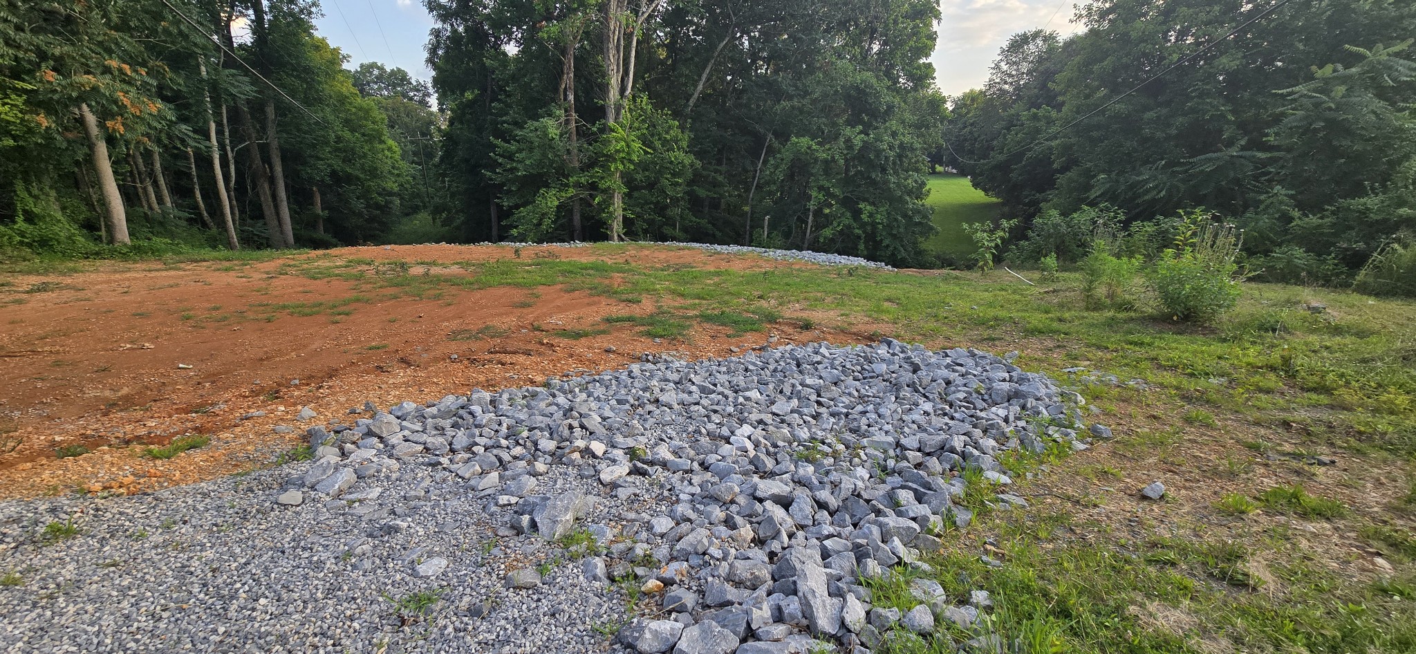 5548 Abednego Road Greenbrier, TN 37073 - Photo 10 of 15 a view of a yard with plants