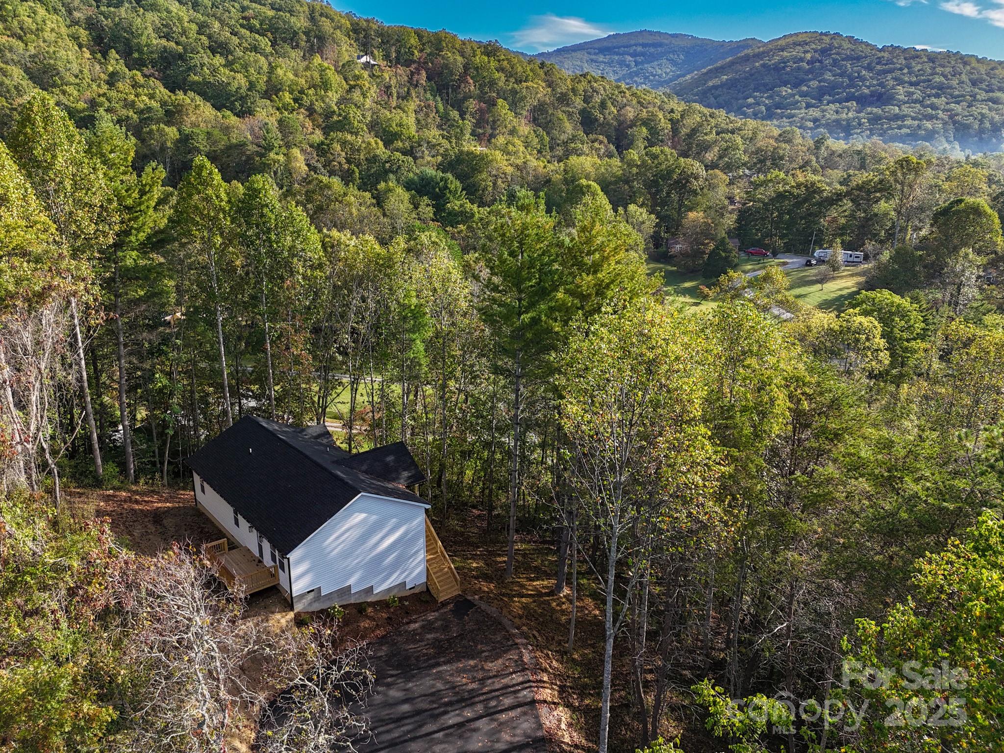 700 Old Fort Road Fairview, NC 28730 - Photo 2 of 42 a view of a large tree with a yard