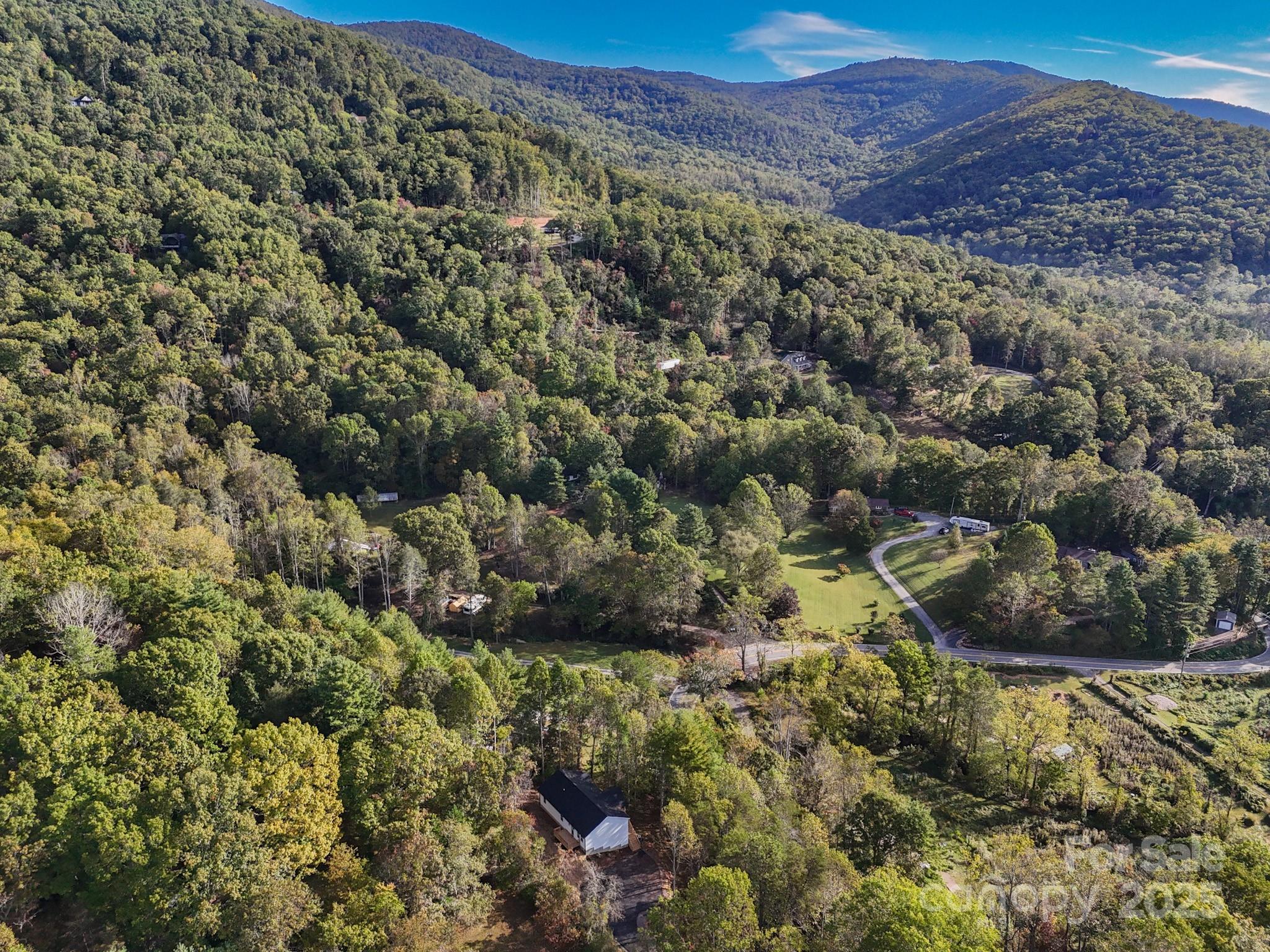 700 Old Fort Road Fairview, NC 28730 - Photo 40 of 42 a view of a forest with a street