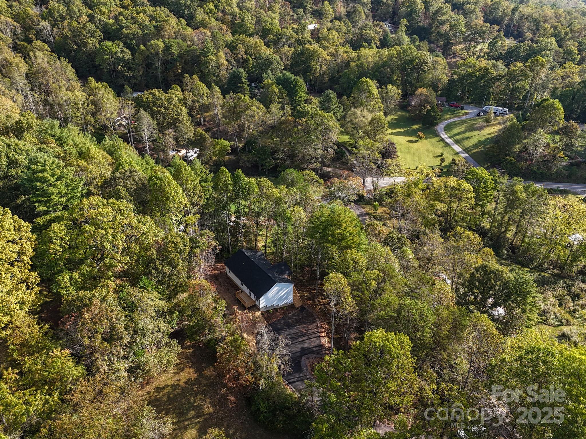 700 Old Fort Road Fairview, NC 28730 - Photo 42 of 42 a view of a tree with a tree