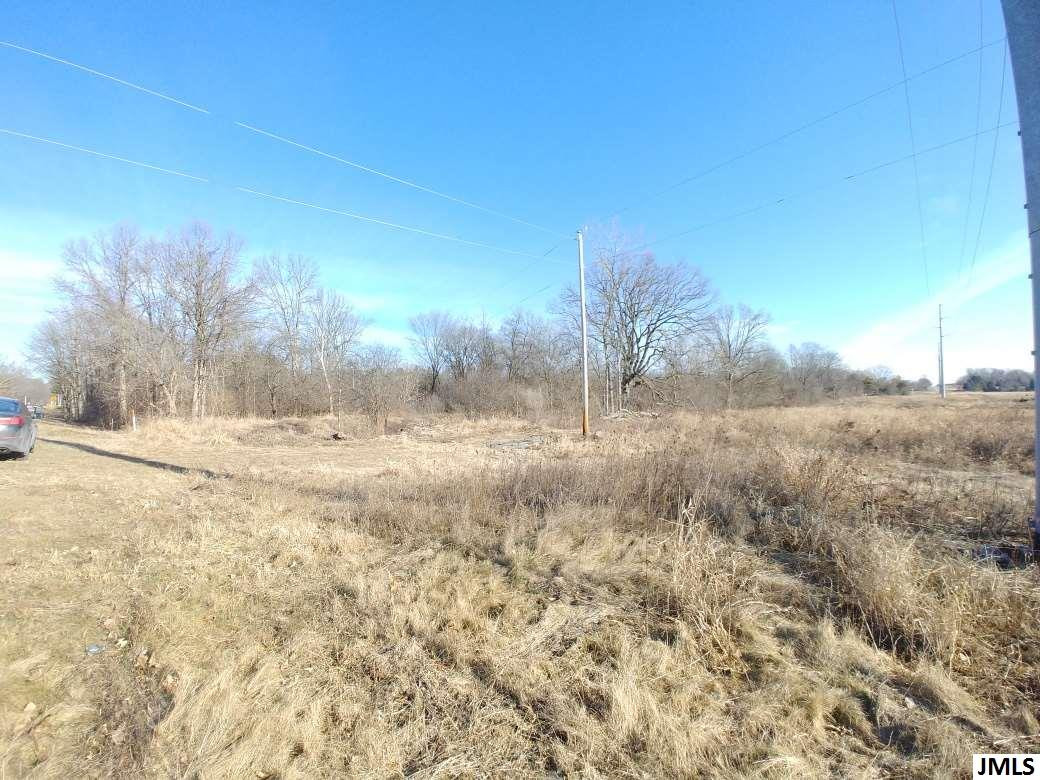 V/l Clinton Road Jackson, MI 49201 - Photo 3 of 10 Photo 3
