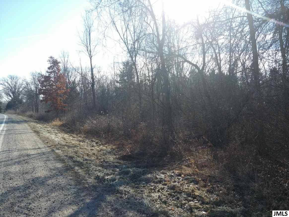 V/l Clinton Road Jackson, MI 49201 - Photo 8 of 10 Photo 8