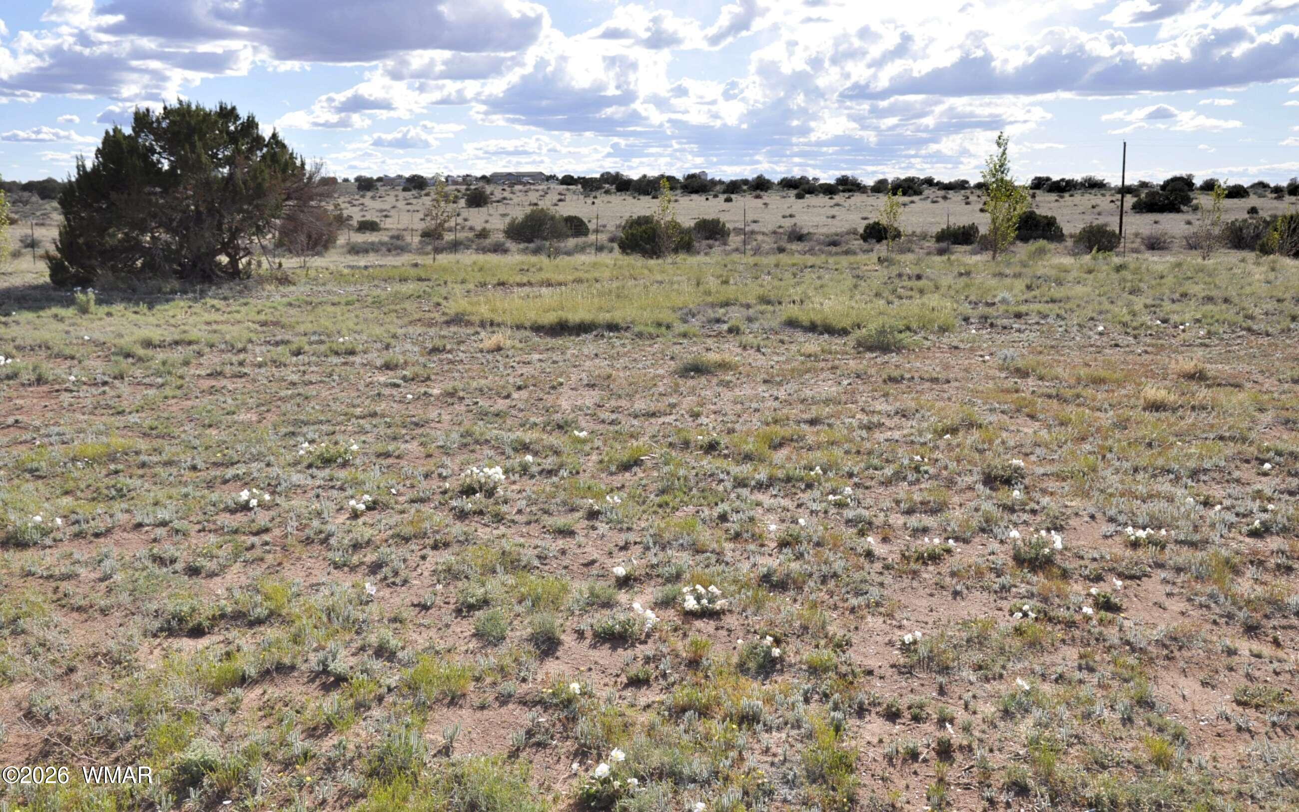 9261 Butler Trail Snowflake, AZ 85937 - Photo 29 of 33 24