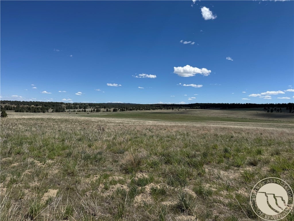 389 Number 4 Road Roundup, MT 59072 - Photo 22 of 45 Gallery Image 22