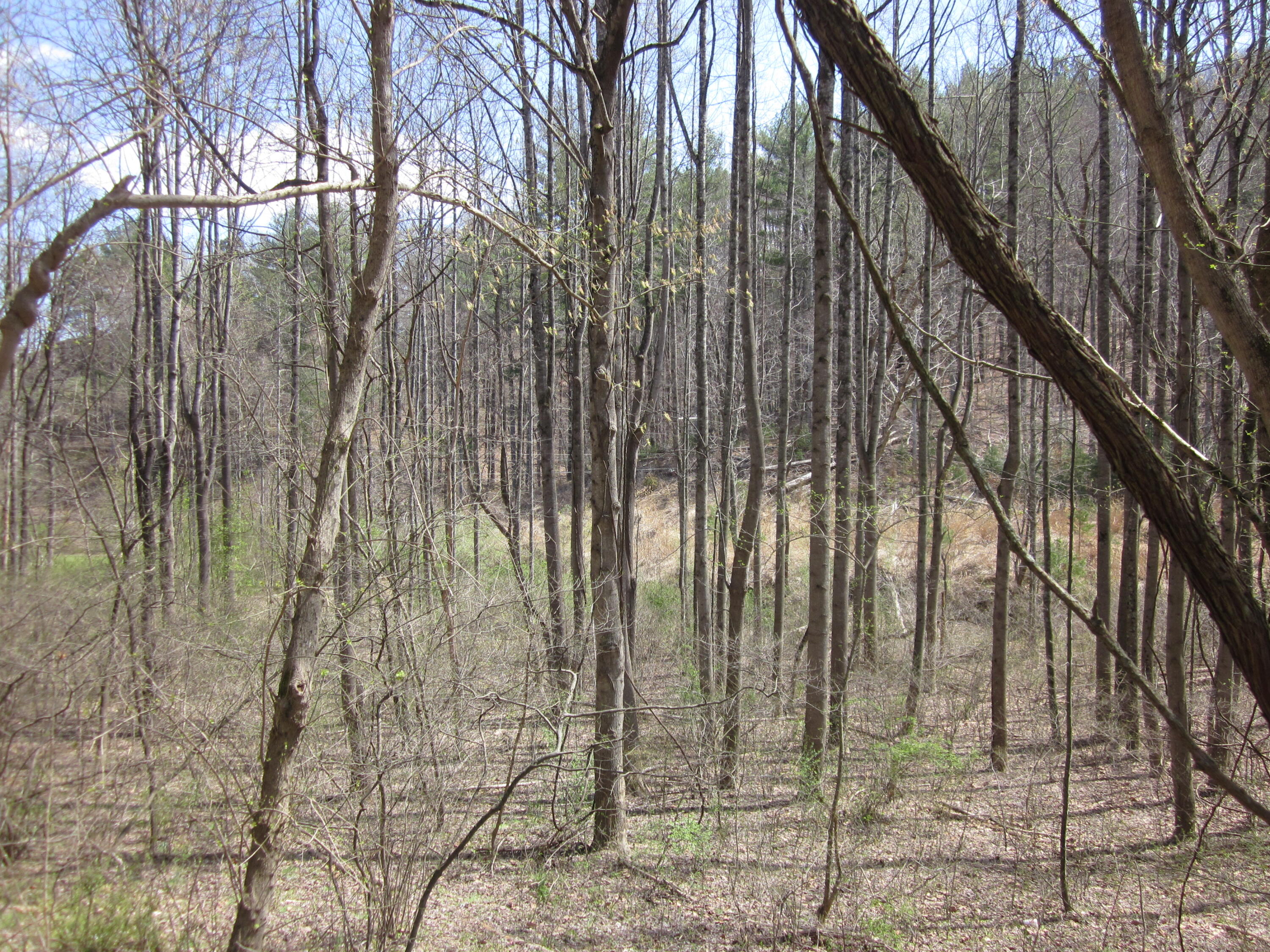 Lot 4 Bethlehem Road Boones Mill, VA 24065 - Photo 1 of 4 Main