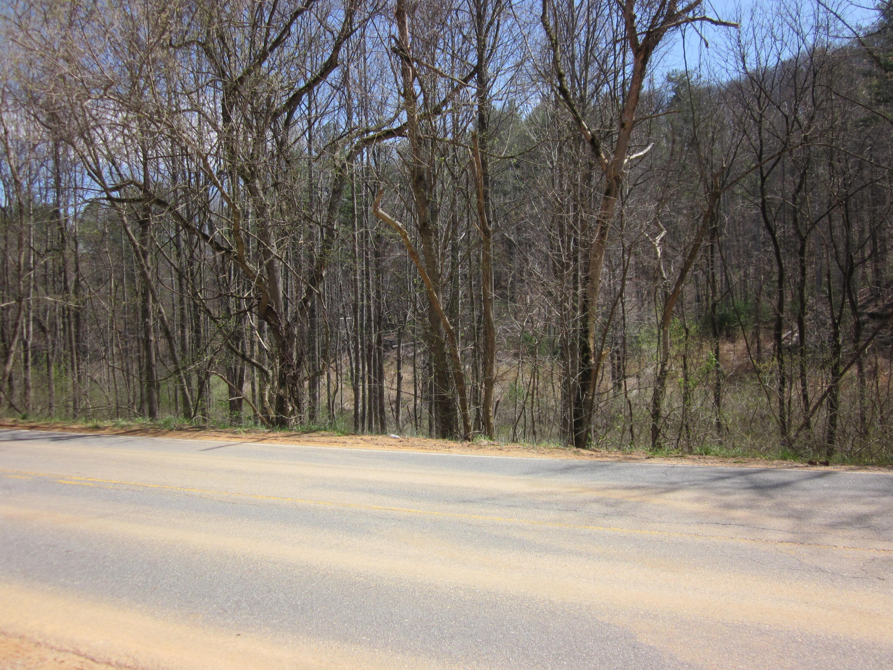Lot 4 Bethlehem Road Boones Mill, VA 24065 - Photo 2 of 4 IMG_8308