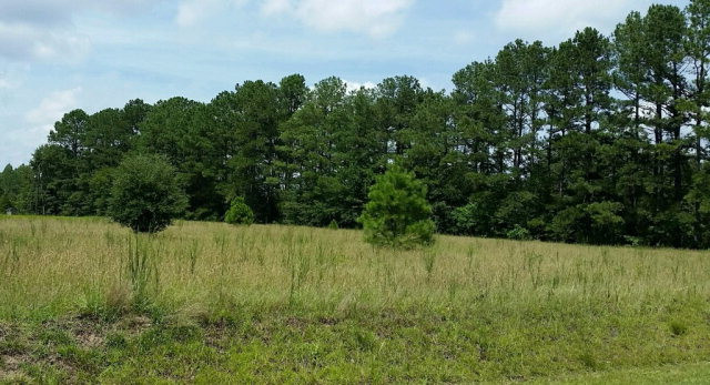 2 Chop Road Elloree, SC 29047 - Photo 1 of 1