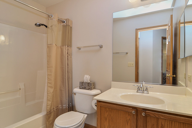 1056 Teasel Lane Aurora, IL 60504 - Photo 17 of 25 a bathroom with a sink toilet and shower
