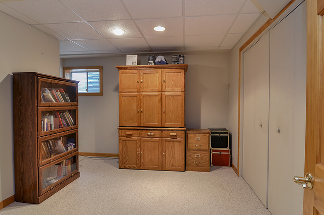 1056 Teasel Lane Aurora, IL 60504 - Photo 19 of 25 a view of an empty room with shelves