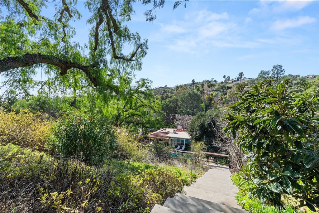 10442 Boca Canyon Drive North Tustin, CA 92705 - Photo 48 of 55 a view of a garden with a patio