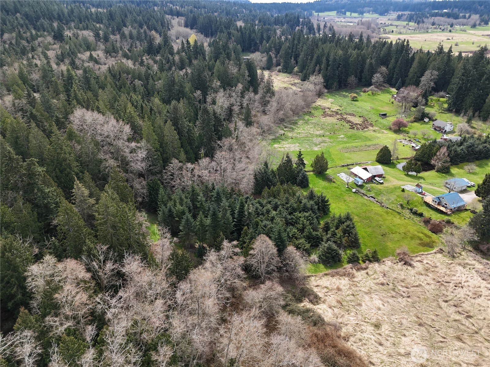 0 Midvale Road Clinton, WA 98236 - Photo 3 of 3 a view of a bunch of trees and bushes