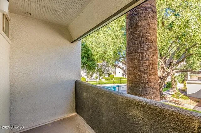 a view of outdoor space and the window