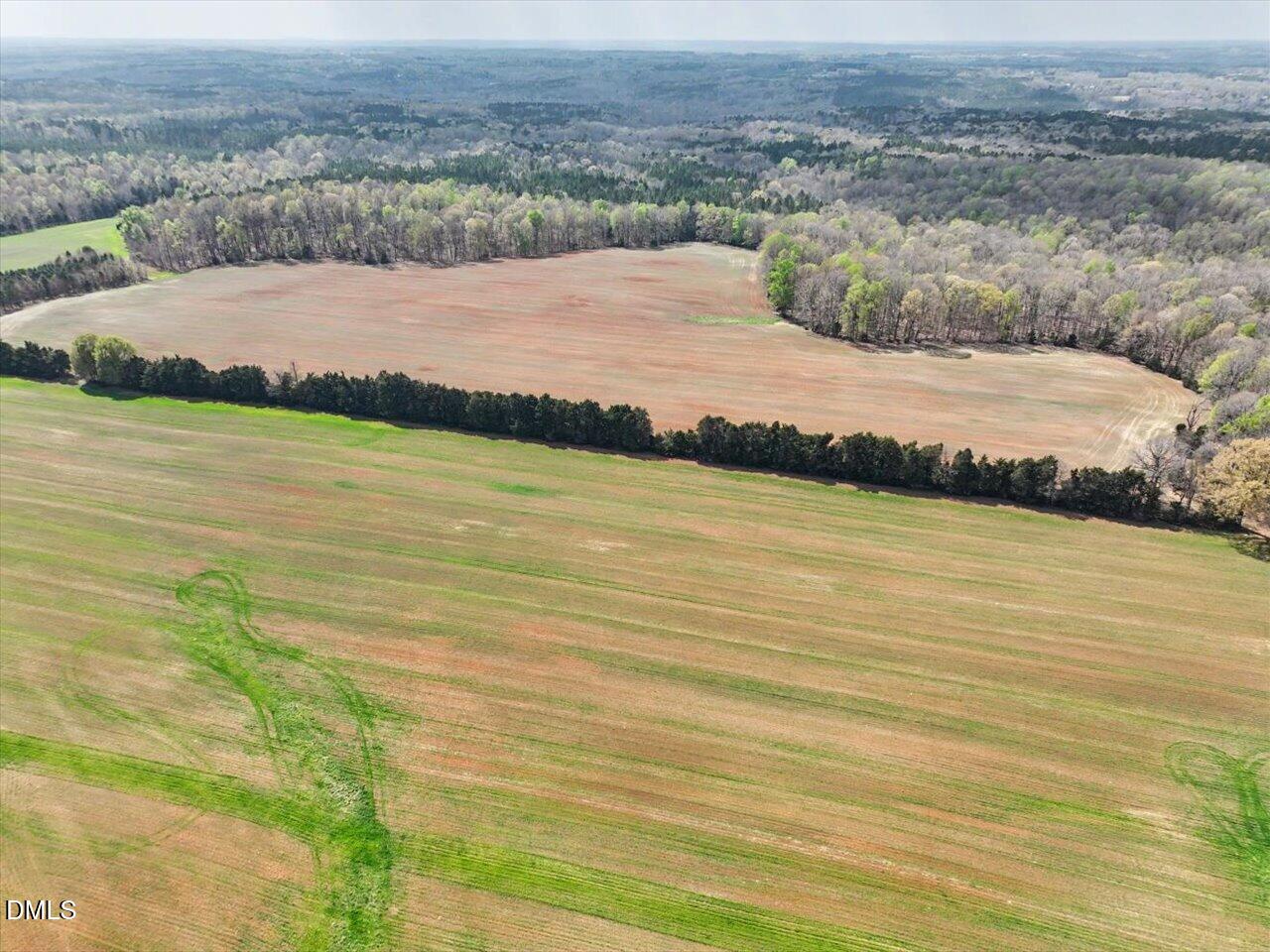 7793 Ridgeville Road Leasburg, NC 27291 - Photo 59 of 91