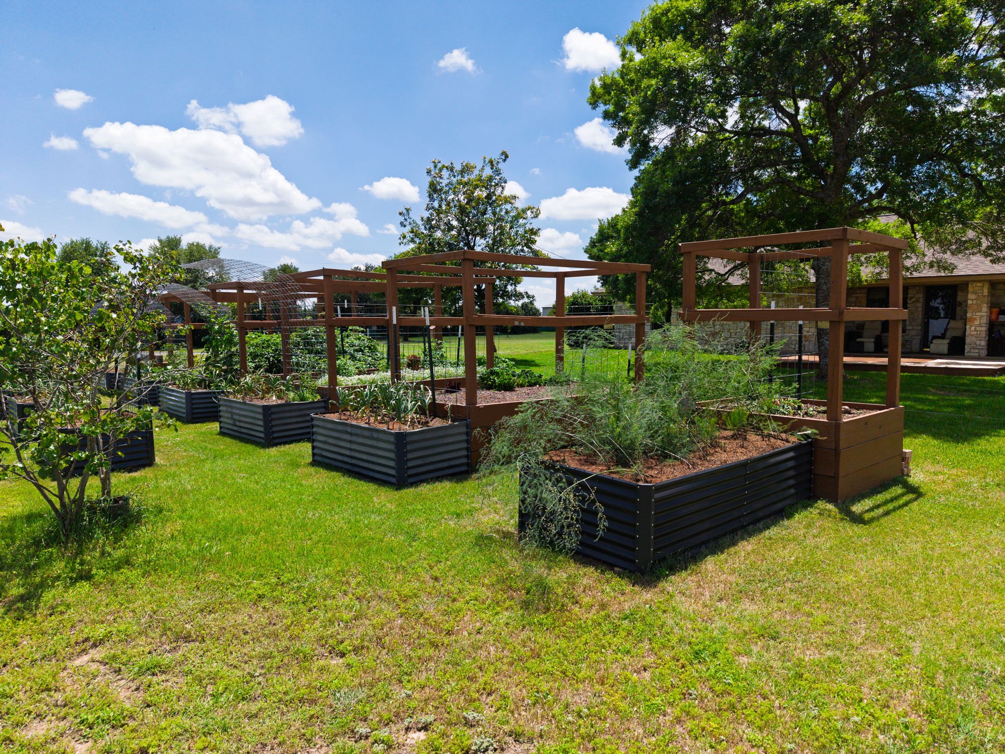 120 Rae Lane Jarrell, TX 76537 - Photo 23 of 40 Expansive outdoor space featuring multiple raised garden beds with integrated wooden trellises, established plantings, and mature landscaping